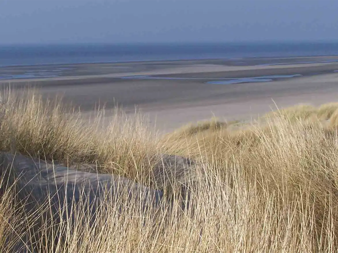 paysage plage Fort Mahon baie Authie